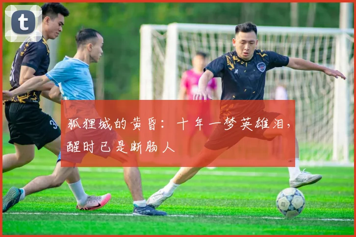 狐狸城的黄昏:十年一梦英雄泪,醒时已是断肠人